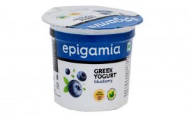 Epigamia Greek Yogurt Blueberry  Tub  90 grams
